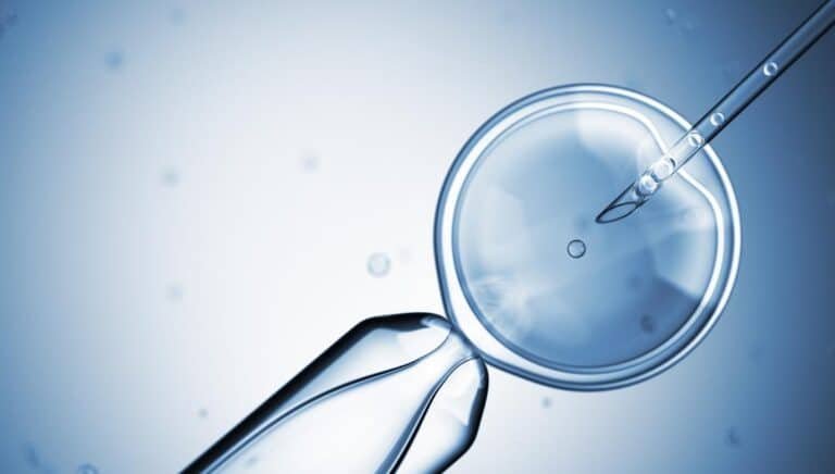How Much Does Artificial Insemination Cost?