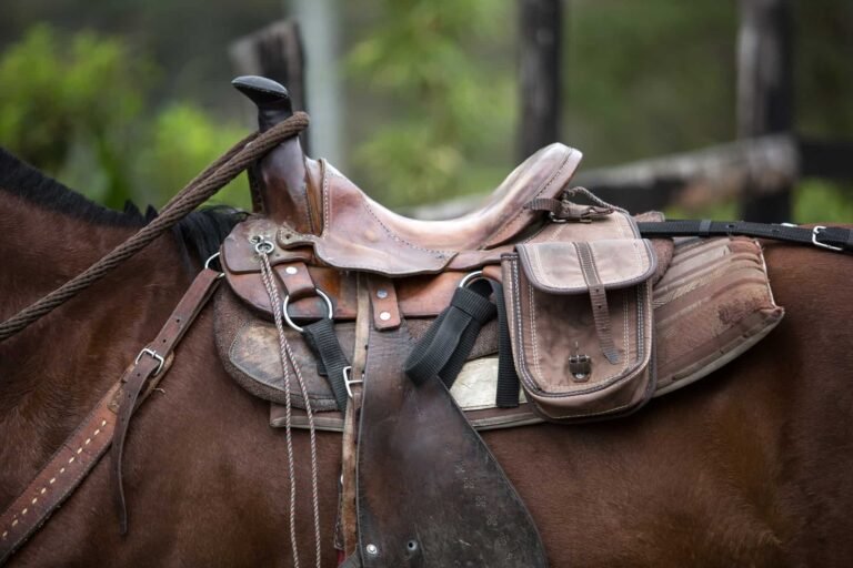 How Much Is A Horse Saddle