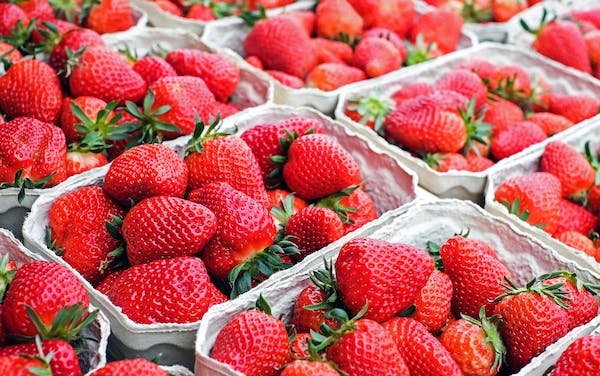 cost-of-strawberries